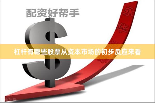 杠杆有哪些股票从资本市场的初步反应来看